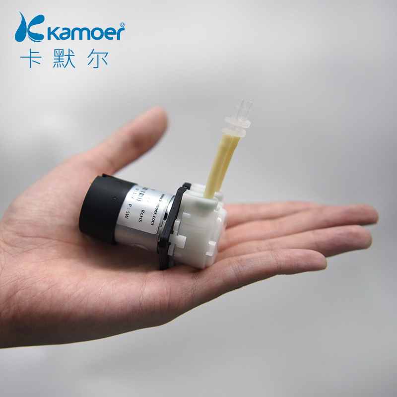 微型水泵6cv自动泵电动小型抽水泵24v实验自吸泵12v直流电机蠕动