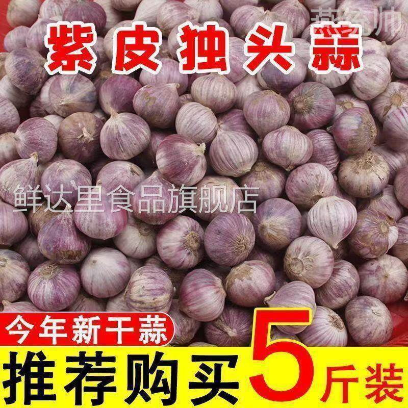 云南独头蒜大果独蒜头干蒜头新大蒜独蒜头出口级精品级特大果包邮
