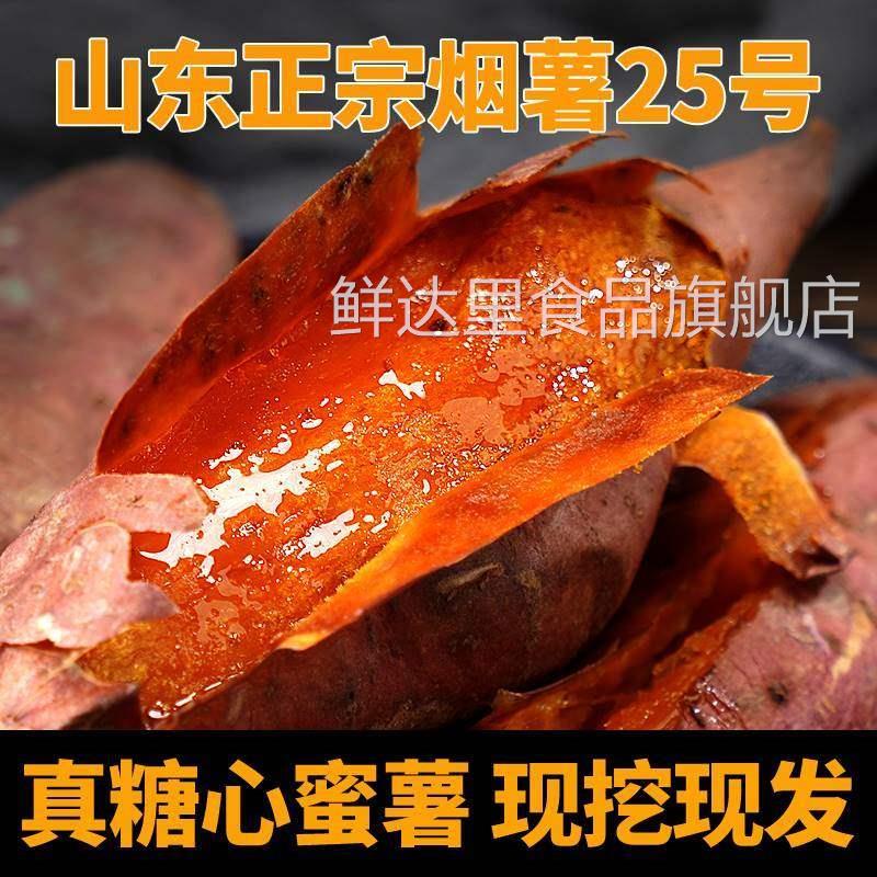 山东烟薯25号蜜薯糖心红薯新鲜沙地地瓜蕃薯番薯农科院官方旗舰店
