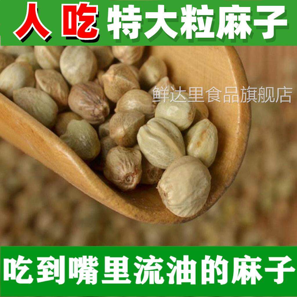麻子大粒人吃新货特大云南火麻子包邮非甘肃炒熟五香生麻子籽食用