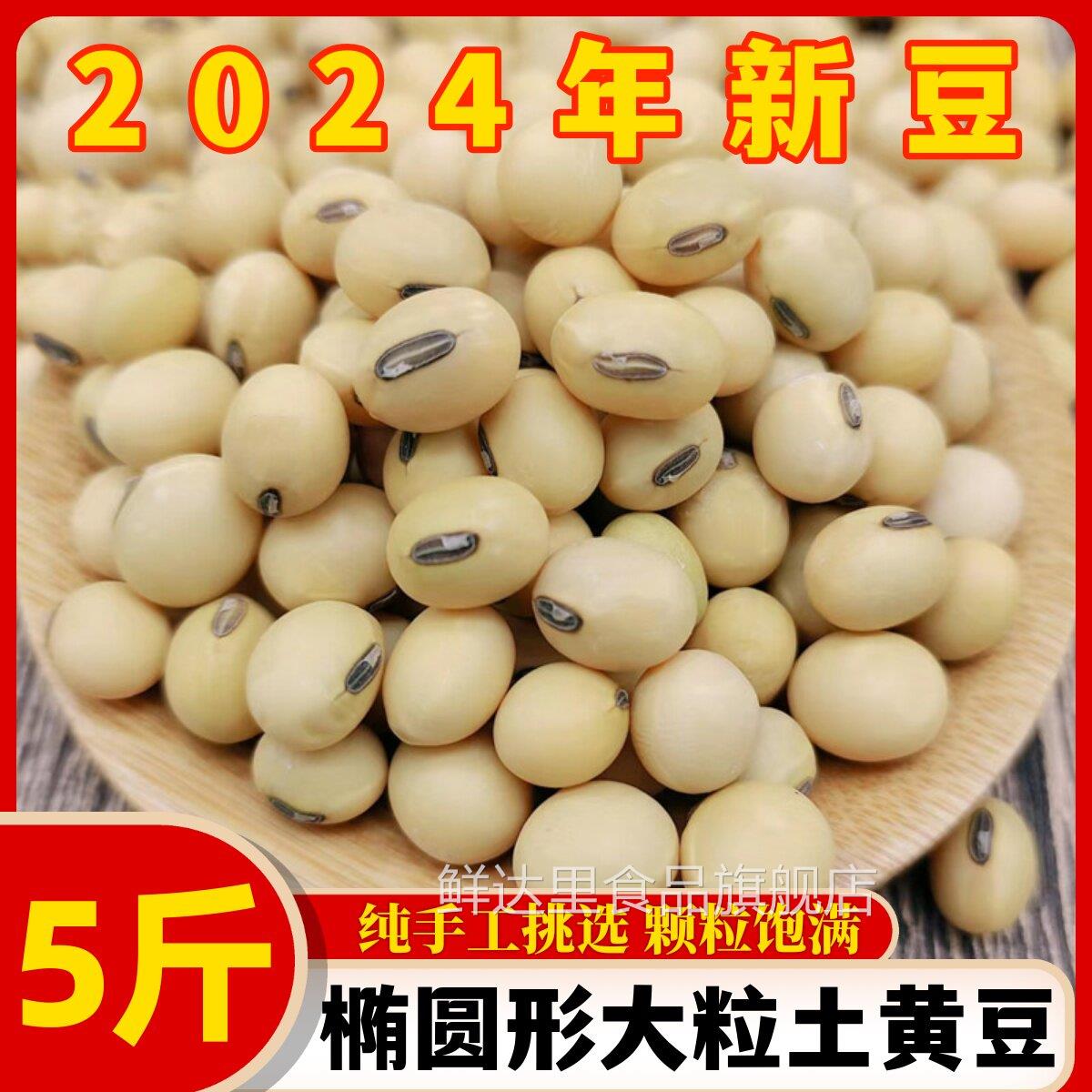 今年新货老品种大黄豆5斤 苏北黑脐王大黄豆非转基因椭圆形豆浆豆