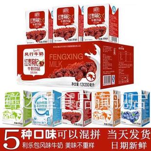 风行红枣枸杞牛奶200ml*36盒24盒12盒整箱装高钙蓝莓原味酸奶纯奶