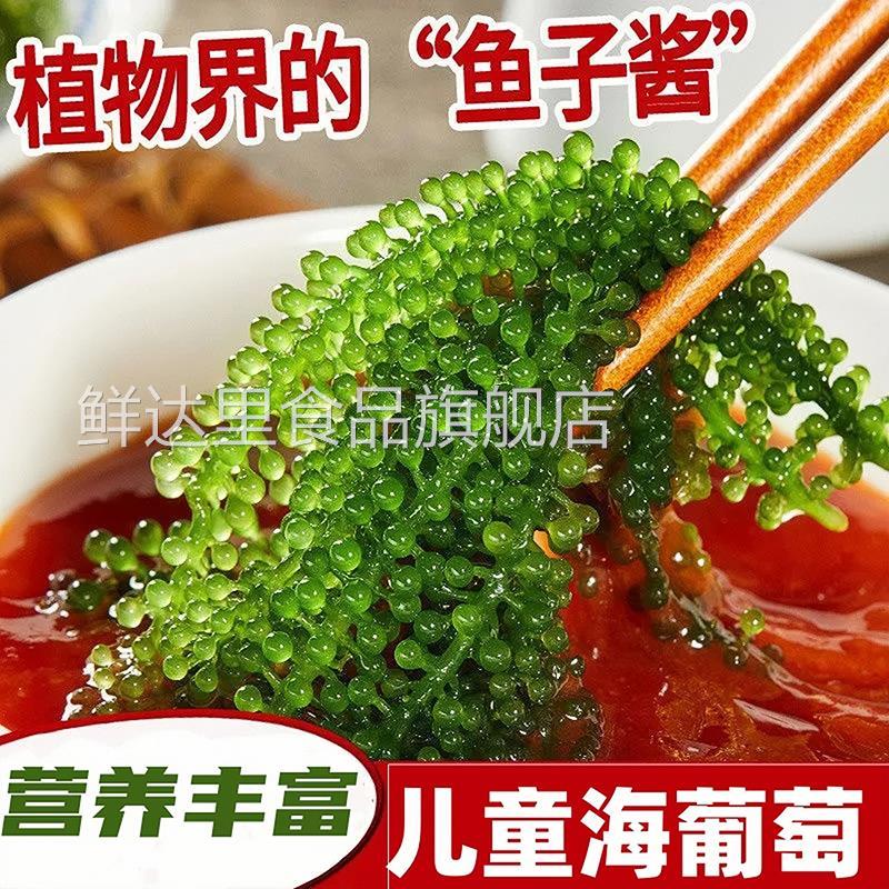 儿童海葡萄即食绿色鱼子酱泡发网红小孩吃的零食新鲜盐渍官方旗舰