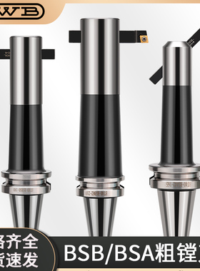 镗刀柄斜插BSA45度粗镗加工中心BT40-BSA20/25/30/38/42/50/62/72