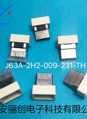 J63A-212-009-161-JC-30CM J63A-2H2-009-231-TH 现货供应 LC