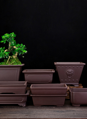 宜兴紫砂花盆长方形桌面创意盆景盆精品四方兰草文竹清仓特价包邮