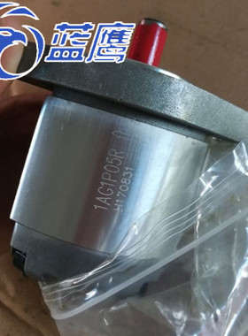 1AG1P01R/1GG1P01R/02R/03R/04R/05R/06R/08R/09R齿轮泵