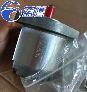 03R 04R 05R 1AG1P01R 08R 02R 06R 09R齿轮泵 1GG1P01R