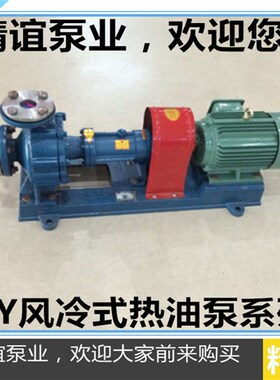 耐高温电动导热油泵RY风冷式导热油泵高温循环输油泵350度泵头座