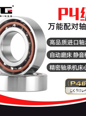 角接触球轴承7200 7201 7202 7203 7204 7205 7206 ACTA/P4 SUL