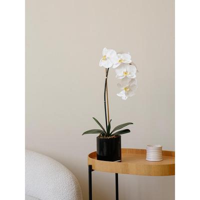 ladylike保湿蝴蝶兰仿真花客厅假花陶瓷花瓶酒店样板房简约摆件