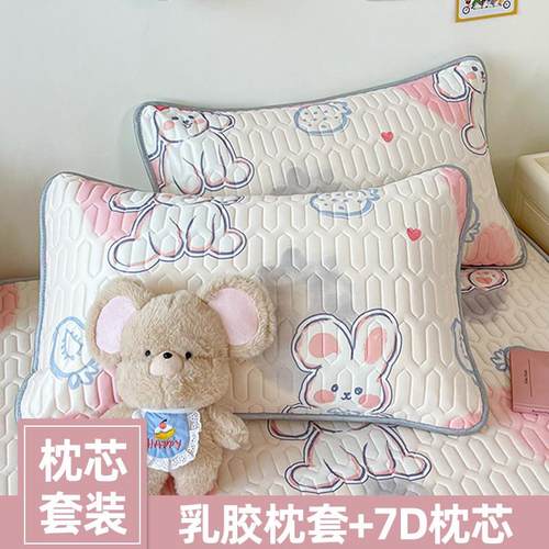 乳胶枕头套冰丝枕头套装一对枕套一对装2025新款单个48cmx74cm