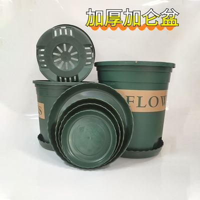 塑料花盆加厚耐用阳台绿萝盆栽月季吊兰花盆批发特大号树脂加仑盆