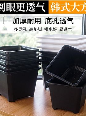 白色加厚方形多肉花盆景天小方盆塑料小黑方韩式多肉方形塑料花盆