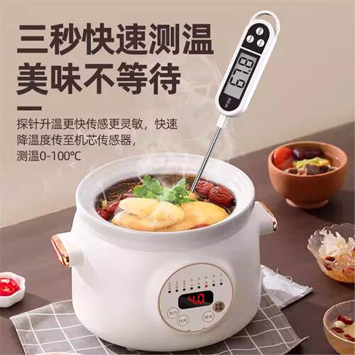 食品温度计水温测量计油温计测奶温面包烘培厨房电子探针式