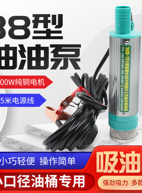 38型电动抽油泵12v24v2w20v迷你电动柴油泵大功率自吸电动加油泵