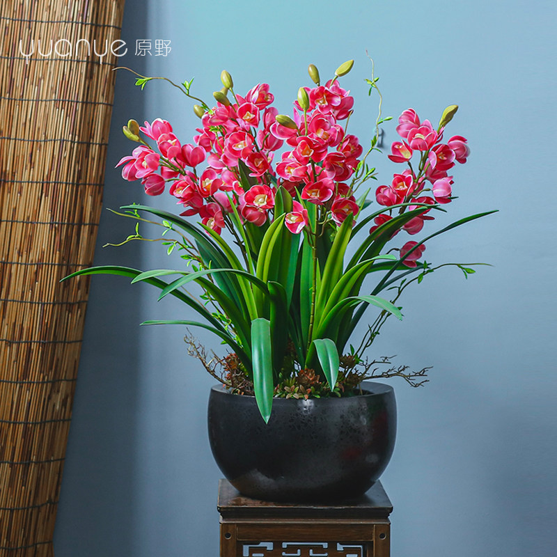 蝴蝶兰仿真花大型高档兰花手感保湿假花盆景客厅大堂酒店装饰摆件,家居饰品,仿真花/假花,淘宝优惠券,粉丝福利购,淘宝优惠卷