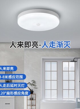 220V插电感应灯楼道夜晚进门入户门厕所卫P生间门口过道吸顶灯