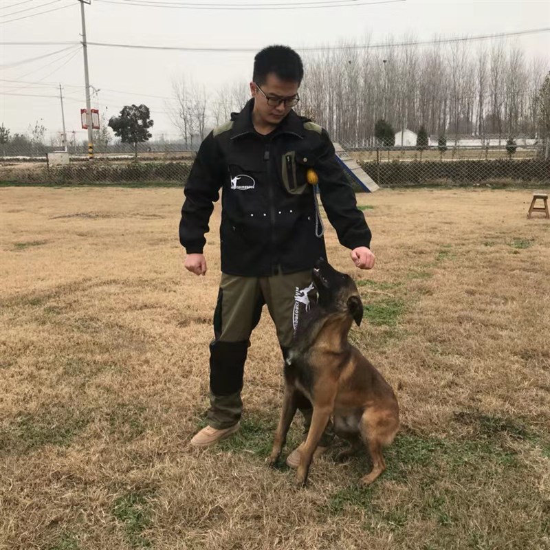 新款训犬马甲训练套装长袖训练服训犬用品 工作犬 训犬装备服装