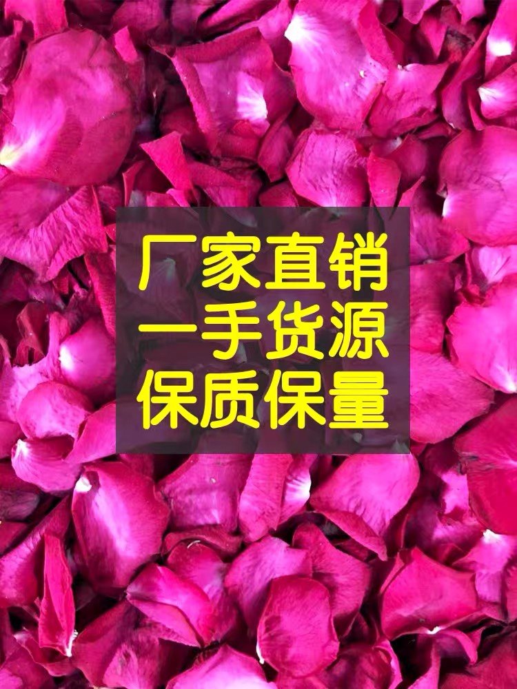 云南25年天然玫瑰干燥花瓣牛奶泡泡浴泡澡足浴泡脚沐浴真花瓣1000