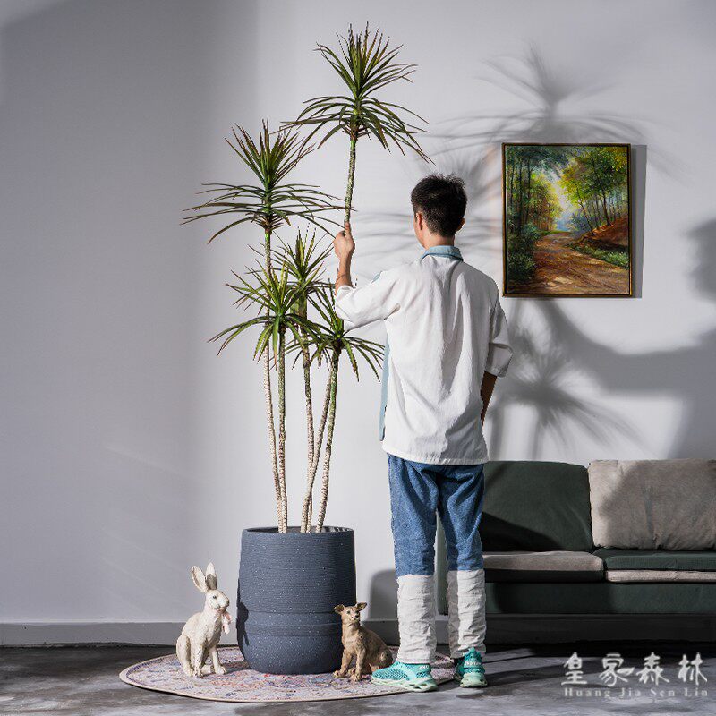 高档仿真植物千年木龙血树假树室内客厅大型绿植盆景造景装饰摆件