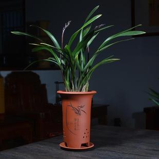 直口紫砂兰花花盆陶瓷君子兰兰草兰花专用盆家用带托盘宜兴纯手工