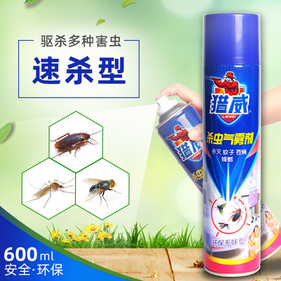家用无味杀虫喷雾剂灭蚊虫苍蝇杀虫剂气雾剂饭店餐厅 1瓶600ml