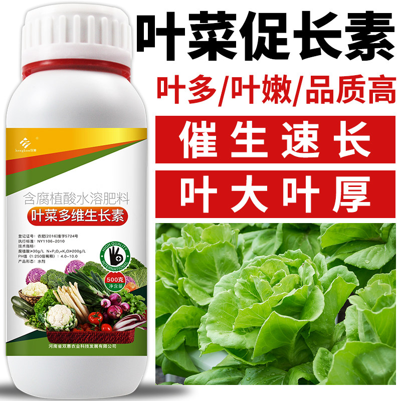叶菜叶面肥蔬菜青菜大白菜韭菜香菜生菜催生速长生V长素增产剂专