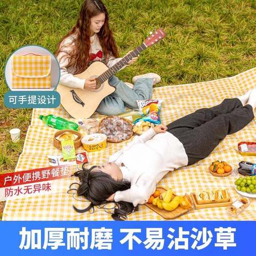 野餐垫加厚带铝模防潮户外野炊野营沙滩帐篷便携郊游防水草坪垫子