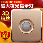 国际电工香槟金色拉丝延时关红外线感应关体感应控制关板