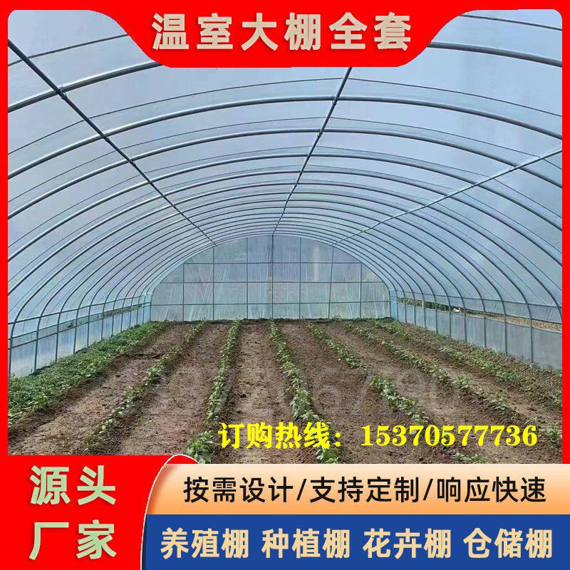 种植蔬菜温室大棚育苗草莓西瓜大棚骨架连体连栋大棚热镀管