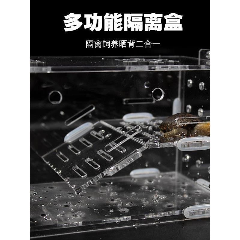 鱼缸内乌龟隔离盒发色盒内亚克力悬浮晒台吸盘孵化器白色透明红面图片