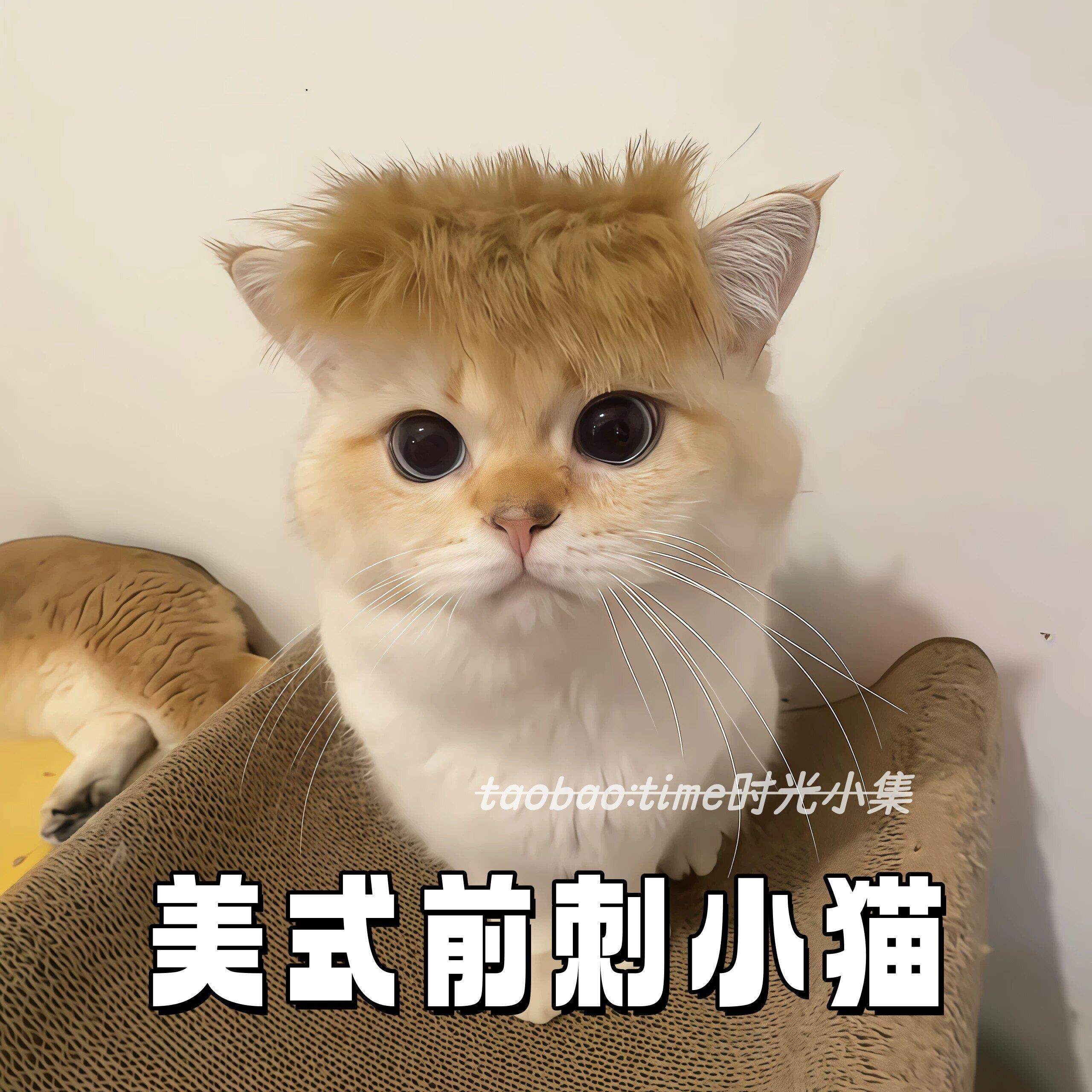 猫咪美式前刺黄毛杀马特假发