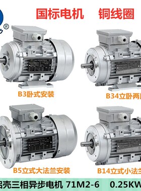 6极0.25KW方力铝壳电机YSYE2YE3FL-71M2-6三相异步电动机国标250W