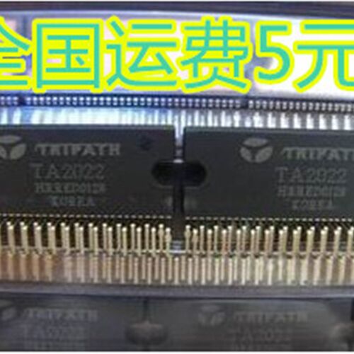 全新原装 TA2022 数字功放芯片 质量保证