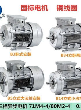 4极0.75KW方力铝壳电机YSYE2/YE3/FL-80M2-4/71M4-4三相电动机750