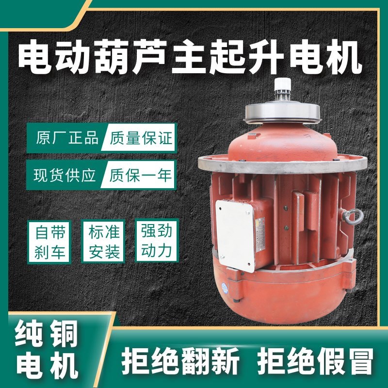南京特种电机公司江陵10吨电动葫芦纯铜ZD151-4 13KW锥形转子电机
