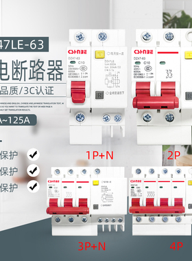 漏电开关 2P63A DZ47LE双极32A漏电保护器家用空开断路器空气开关