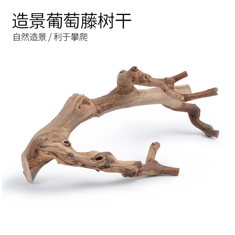 饲养缸睫角树栖爬虫躲避爬宠天然树根黄缘饲养箱环境造景摆件用品,电动车/配件/交通工具,电动车锁,淘宝优惠券,粉丝福利购,淘宝优惠卷