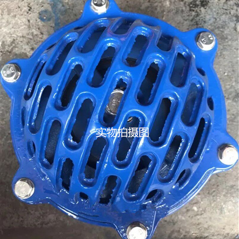 水泵底阀单向阀逆止阀平板阀H42X1016球墨铸铁法兰消声底阀花篮头