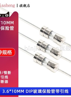 3.6*10mm带引脚玻璃保险管丝双帽250V T慢断F快断 1A 2 3.15A-10A