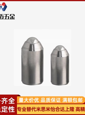 不锈钢光身重载型球头柱塞BSZP5/6/8/10/12现货玻珠ZAL35弹簧304