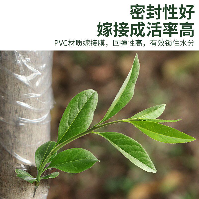 果树嫁接膜自粘式木包扎胶带需打结绑带芽接穗固定缠绕带