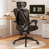 体工学舒适久坐电脑椅躺办公室靠背座椅男宿舍电竞椅