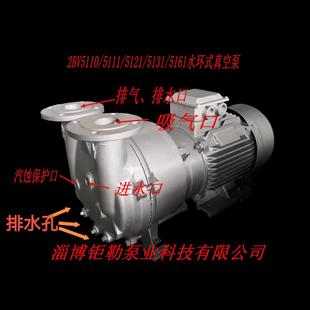 真空泵液环真空泵 5131 2BV5110 5121 5161真空泵 5111 博山水环式