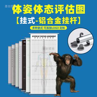 体态评估图健身工作室瑜伽背景墙布私教简约体姿测量表 铝合金挂式