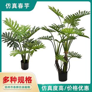 彷真春芋盆栽北欧大型落地室内假植物喜林芋造景家居酒店装饰摆饰