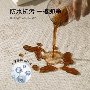 轻奢高级感免洗可擦卧室地垫家用房间大面积全铺 地毯客厅2024新款