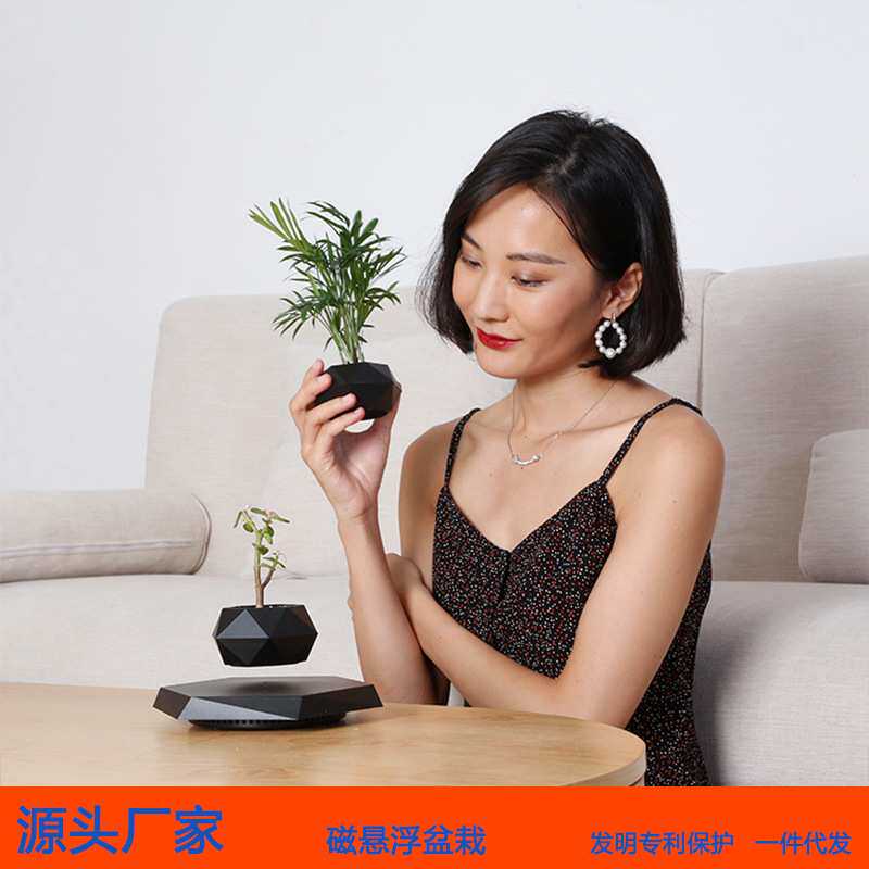 跨境磁悬浮盆栽花盆空中创意盆景植物花卉奇特ins风家居办公摆件