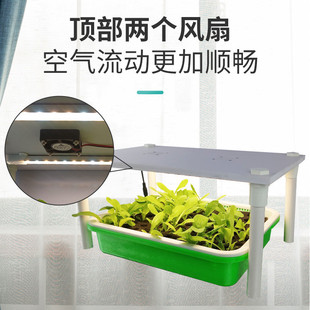 校园农耕教学设备无土栽培育苗盒水培育苗机蔬菜花卉种子催芽箱